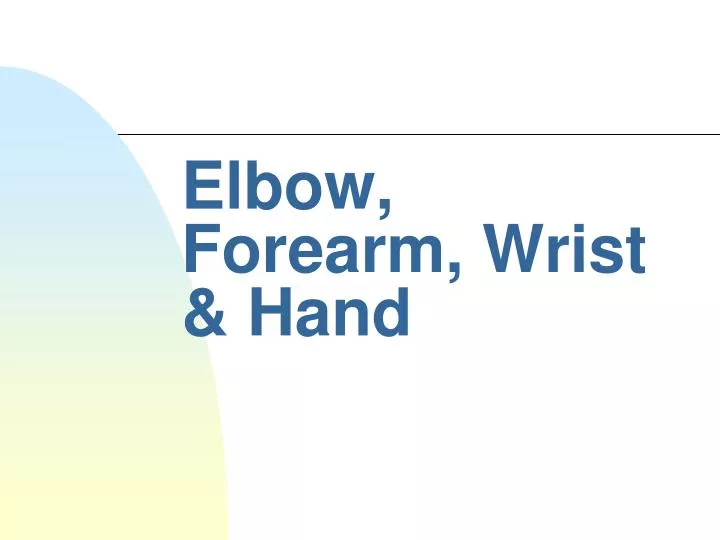 elbow forearm wrist hand