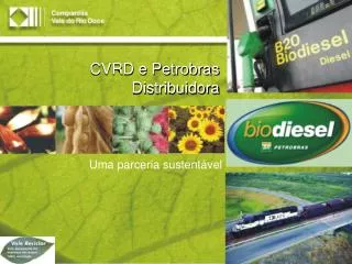 cvrd e petrobras distribuidora