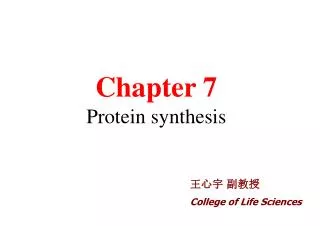 Chapter 7 Protein synthesis