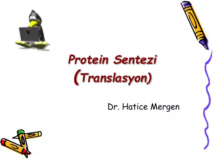protein sentezi translasyon