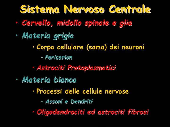 sistema nervoso centrale