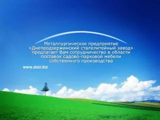 www dslz biz