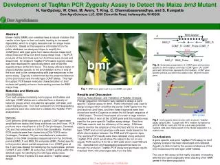 Development of TaqMan PCR Zygosity Assay to Detect the Maize bm3 Mutant
