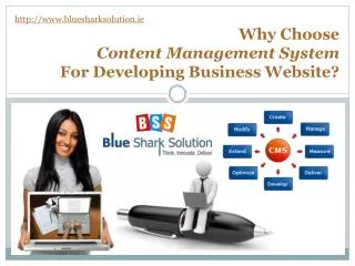 Why choose CMS for developing business website?