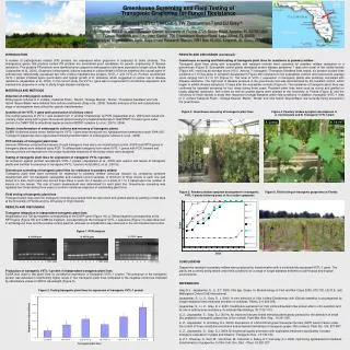 Greenhouse Screening and Field Testing of Transgenic Grapevine for Fungal Resistance