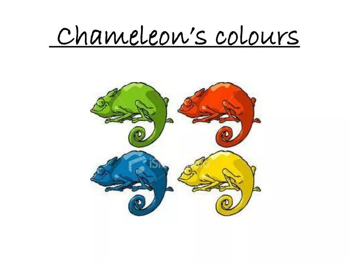 chameleon s colours