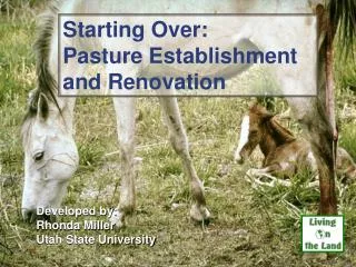 Starting Over: Pasture Establishment and Renovation
