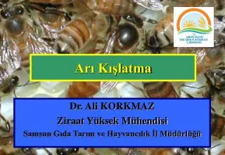 ar k latma