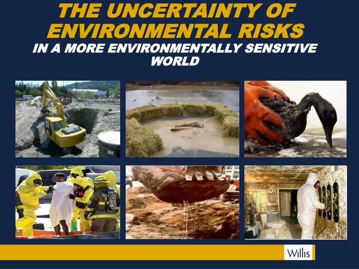 the uncertainty of environmental risks in a more environmentally sensitive world