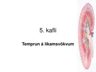 5 kafli