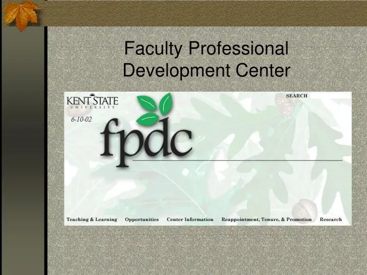 faculty professional development center