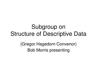 Subgroup on Structure of Descriptive Data