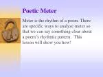 Poetic Meter - slide 1