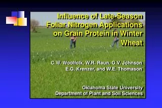 Influence of Late-Season Foliar Nitrogen Applications on Grain Protein in Winter Wheat