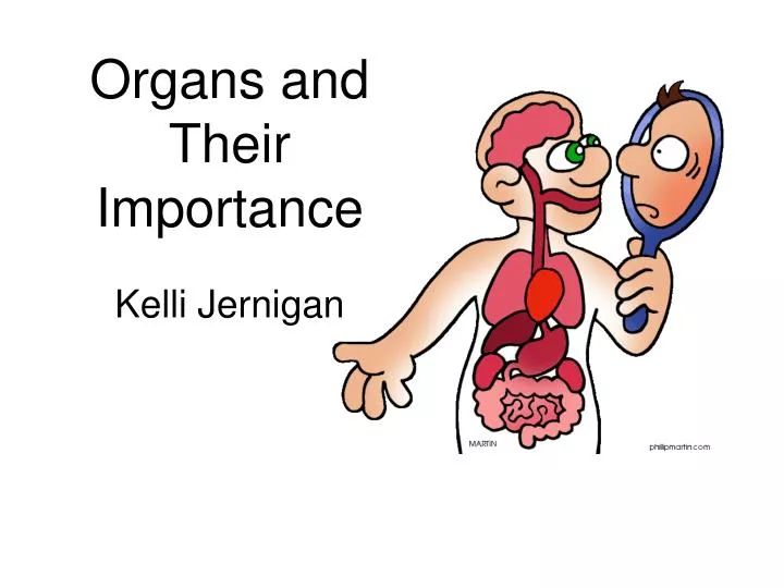 organs and their importance