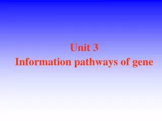 Unit 3 Information pathways of gene