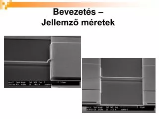 bevezet s jellemz m retek