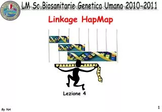 linkage hapmap
