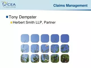 Tony Dempster Herbert Smith LLP, Partner