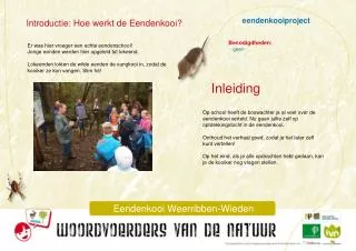 eendenkooiproject