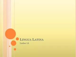 lingua latina