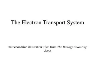 The Electron Transport System mitochondrion illustration lifted from The Biology Colouring Book