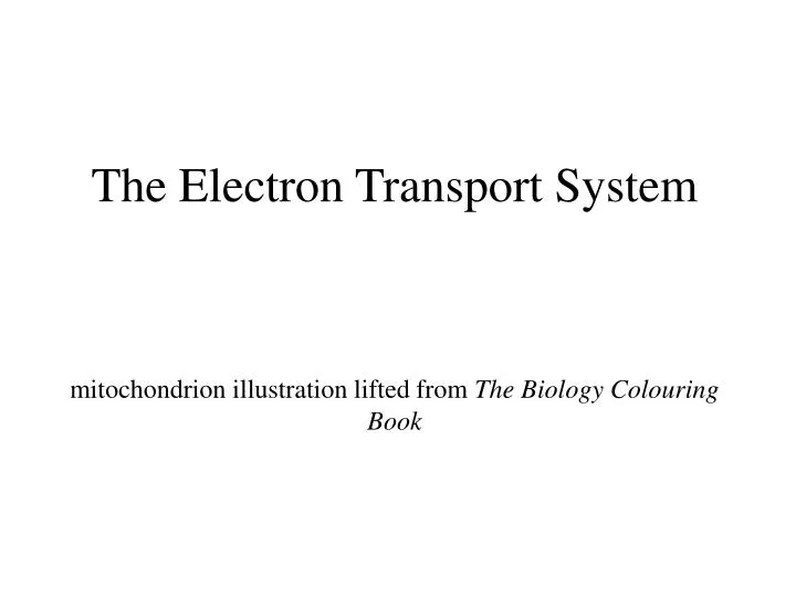 the electron transport system mitochondrion illustration lifted from the biology colouring book