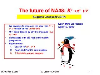 The future of NA48: K + ? p + nn