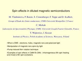 Spin effects in diluted magnetic semiconductors