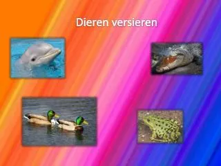 Dieren versieren