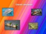 Dieren versieren - slide 1