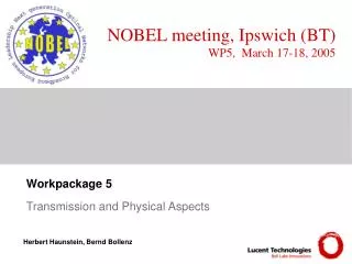 Workpackage 5 Transmission and Physical Aspects