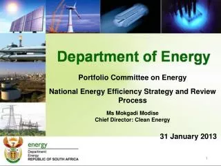 Portfolio Committee on Energy National Energy Efficiency Strategy and Review Process
