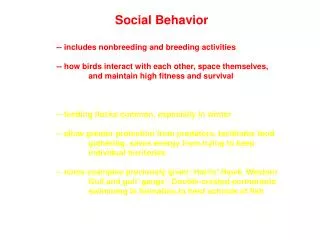 Social Behavior -- includes nonbreeding and breeding activities