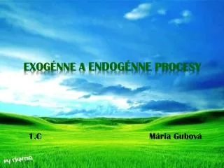 exog nne a endog nne procesy