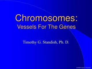 Chromosomes: Vessels For The Genes