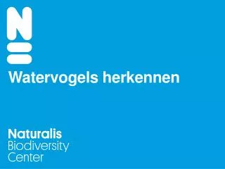 watervogels herkennen