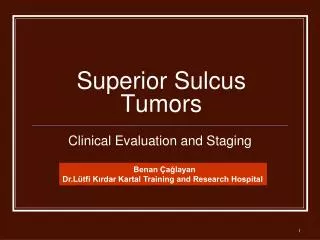Superior Sulcus Tumors
