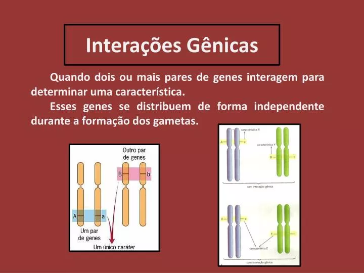 intera es g nicas