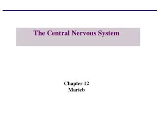 The Central Nervous System