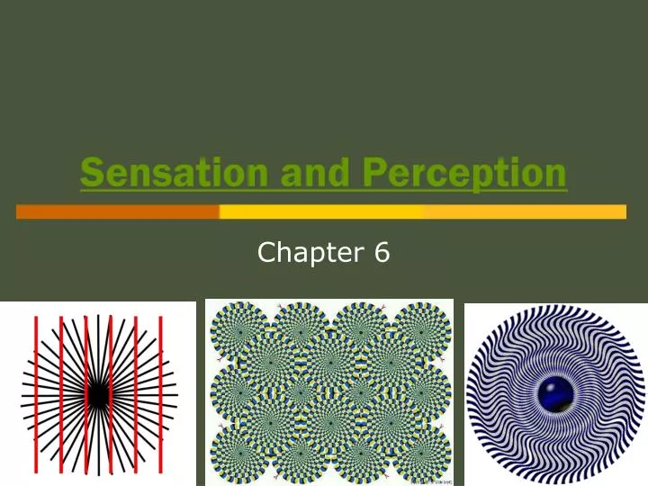 sensation and perception