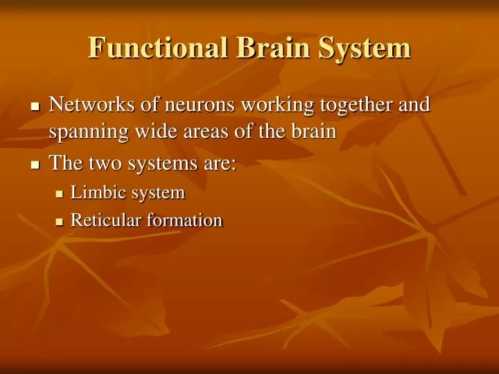 functional brain system