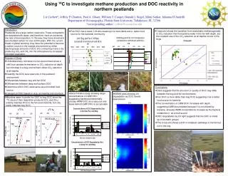 Using 14 C to investigate methane production and DOC reactivity in northern peatlands