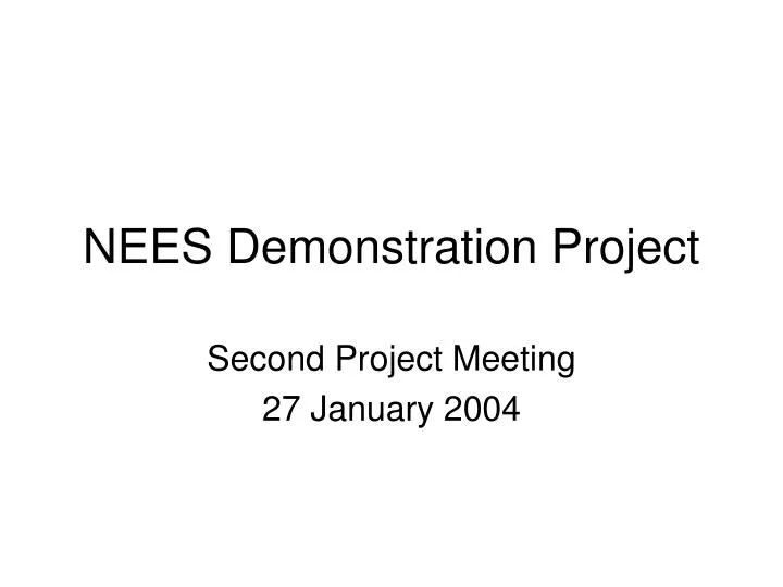 nees demonstration project