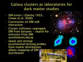 Galaxy clusters as laboratories for dark matter studies