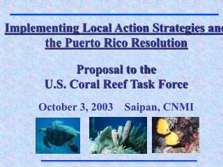 Implementing Local Action Strategies and the Puerto Rico Resolution Proposal to the