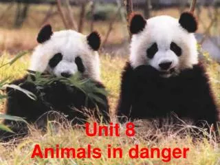 Unit 8 Animals in danger