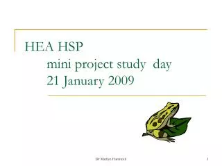 hea hsp mini project study day 21 january 2009