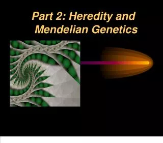 Part 2: Heredity and ?Mendelian Genetics
