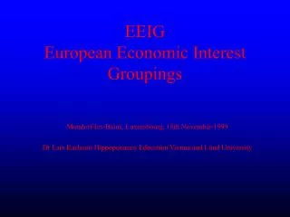 EEIG European Economic Interest Groupings